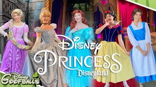 Disney Princesses Character Greetings - Disneyland Resort Anaheim 🇺🇸