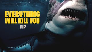 EVERYTHING WILL KILL YOU - RIP (SHARK FILM) Resimi