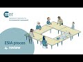 ESIA process - step 4 - Review