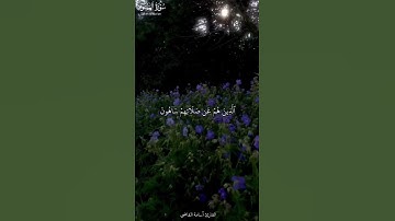 Surah Al-Ma'un | سورة الماعون | فَوَيْلٌ لِّلْمُصَلِّينَ 🤎 | القارئ أسامة القاضي