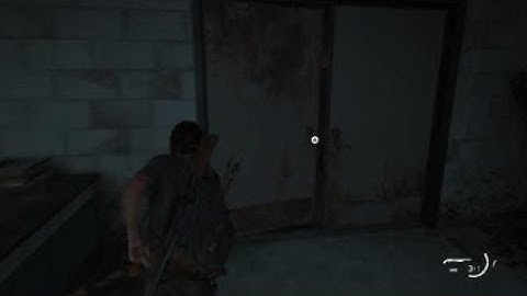 The Last of Us Part II - Seraphite Patrol Speedrun (No Damage)