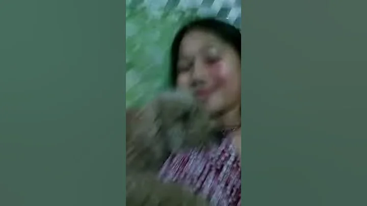 meet my dog cindy