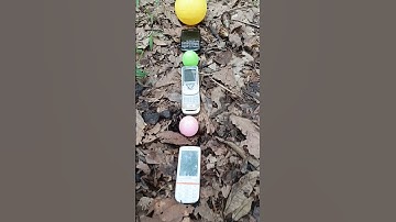 Finding snails eggs and cell phones #egg #snail #eggs