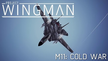 Project Wingman | Monarch POV | Mercenary Mission 11 | F14D