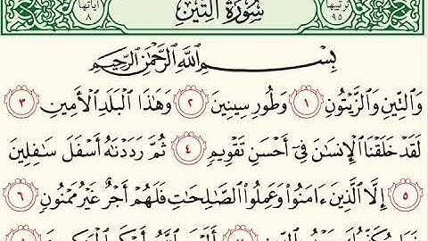 095  سورة التين (AtTin)بصوت الشيخ محمد صديق المنشاوي