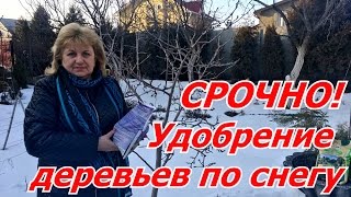 НЕ УПУСТИТЕ последний снег для деревьев .Подкормка и удобрение деревьев, кустарников по снегу(, 2017-02-22T16:00:04.000Z)