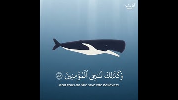 وذا النون إذ ذهب مغاضبا اسلام صبحي حالات واتس قرآن كريم   سورة الأنبياء   Islam Sobhi   Quran