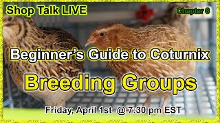 Shop Talk Live - Beginner's Series - Breeding Groups screenshot 2