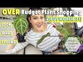 Fishtail Hoya, Dark Lord Philodendron & So Many Rare Plants! Plant Shopping & Plant Haul at Malone's