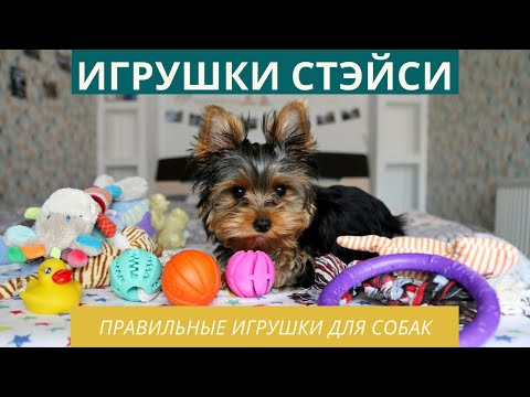Как выбрать игрушки