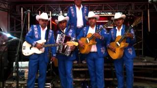 Video thumbnail of "MOTIVOS - canelos de Durango"