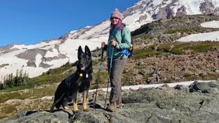 Dog Refuses To Leave Veterans Side As Shes Injured During Mountain Hike