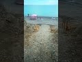 Как я оказался на Алколе? Просто шёл по улицам…