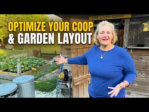How to Design Your Homestead Layout For Chickens and A Garden