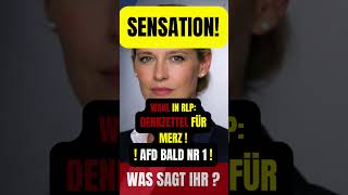 🚨SENSATION! DENKZETTEL FÜR MERZ! #afd  #merz #weidel