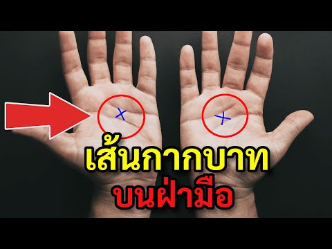 วีดีโอ: เส้นบนฝ่ามือของคุณหมายถึงอะไร?