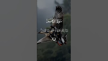 تلاوه خاشعة من سورة إبراهيم بصوت الشيخ #فارس_عباد #قرآن #اكسبلور