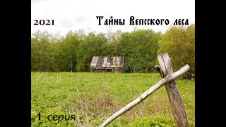 2021 Майская. &quot;Тайны Вепсского леса&quot; 1 серия