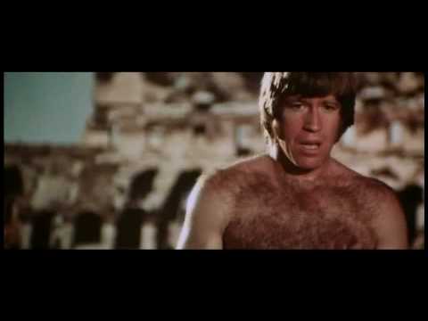 ActionFest - "Ode To Chuck Norris"