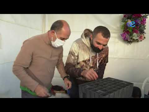 El IES CAMPOAMOR cuenta con tres ciclos formativos de la rama agraria