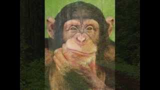 DNA the molecule of life.wmv