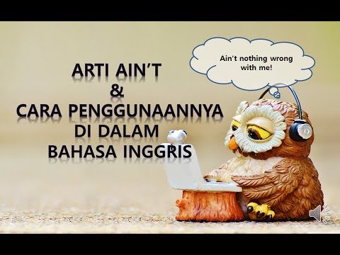 Arti Aint Dan Penggunaannya Dilengkapi Contoh Belajar Bahasa Inggris Dengan Betterfly English