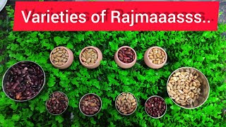 Variety of Rajma, grow in Himachal || Famous Kinnauri Rajma. screenshot 2