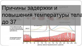 Причины задержки и повышения температуры тела до 37