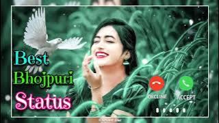 Pura Nasa Mein Aaj Raat Baate Ho | Bhojpuri Status | @do_not_love