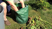 Spuds grown in tyres and a bag 3. Revealed 