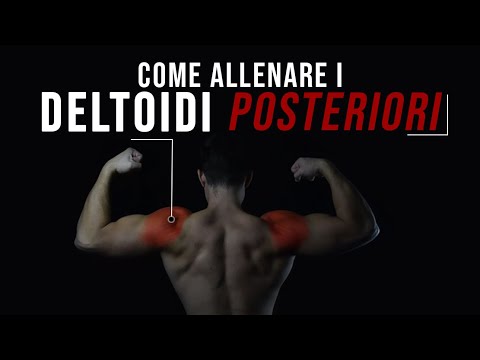 Video: Uccelli Da Allenamento Per Le Spalle