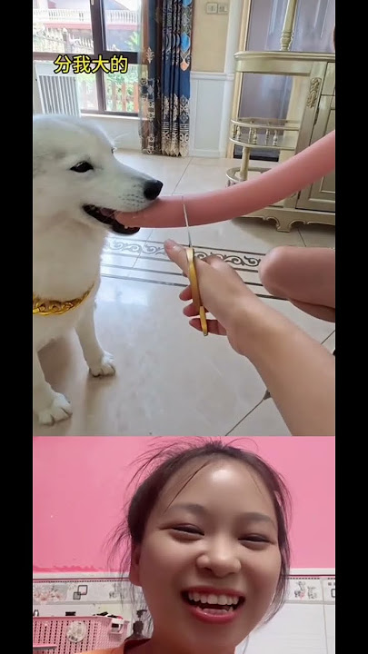 Dành ăn 🤣 #tiktok_qt_music #douyin #funkyhouse #tiktok #dj抖音版2025 #别让爱凋落 #dj抖音版 #trump #duet