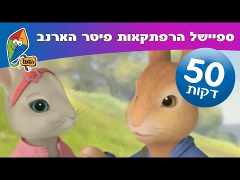 וִידֵאוֹ: פולחן הדברים ואשליית הבחירה של האדם