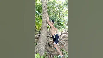 Dancechallenge Viralvideo Comar S Vlog 