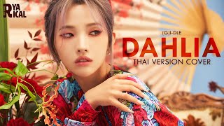 [Thai version Cover] Dahlia (ดาเลีย) - (G)I-DLE  | Ryarical Resimi