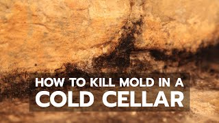 Steve answers a viewer question on how to deal with a moldy cold room that develops condensation in winter. It