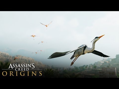 Assassin's Creed Origins -  Heron Feathers & Flamingo Tongues Location (Where to FIND)