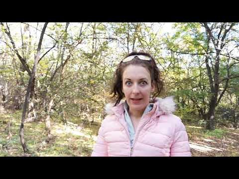 Videó: Hogyan Lehet Növelni Az önbecsülést: Egyszerű Technika A Lusták Számára