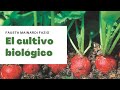 [#Podcast] El cultivo biológico - Organic cultivation