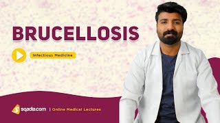 Brucellosis | Infectious Medicine Lectures | Medical Education | VLearning | sqadia.com