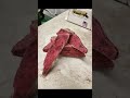 Lapidary slabbing and cutting Thulite