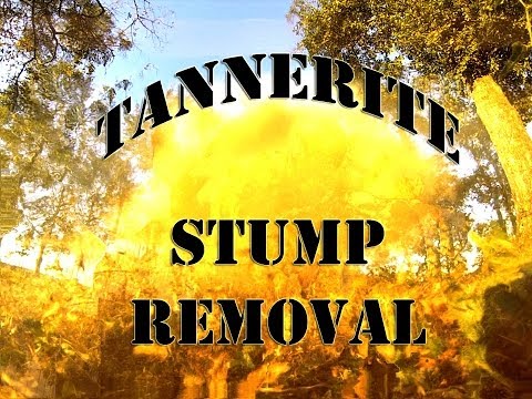 One Pound of Tannerite Vs. One Tree Stump
