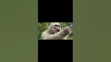 George Trolls The Rock With A Middle Finger Rampage 2018 