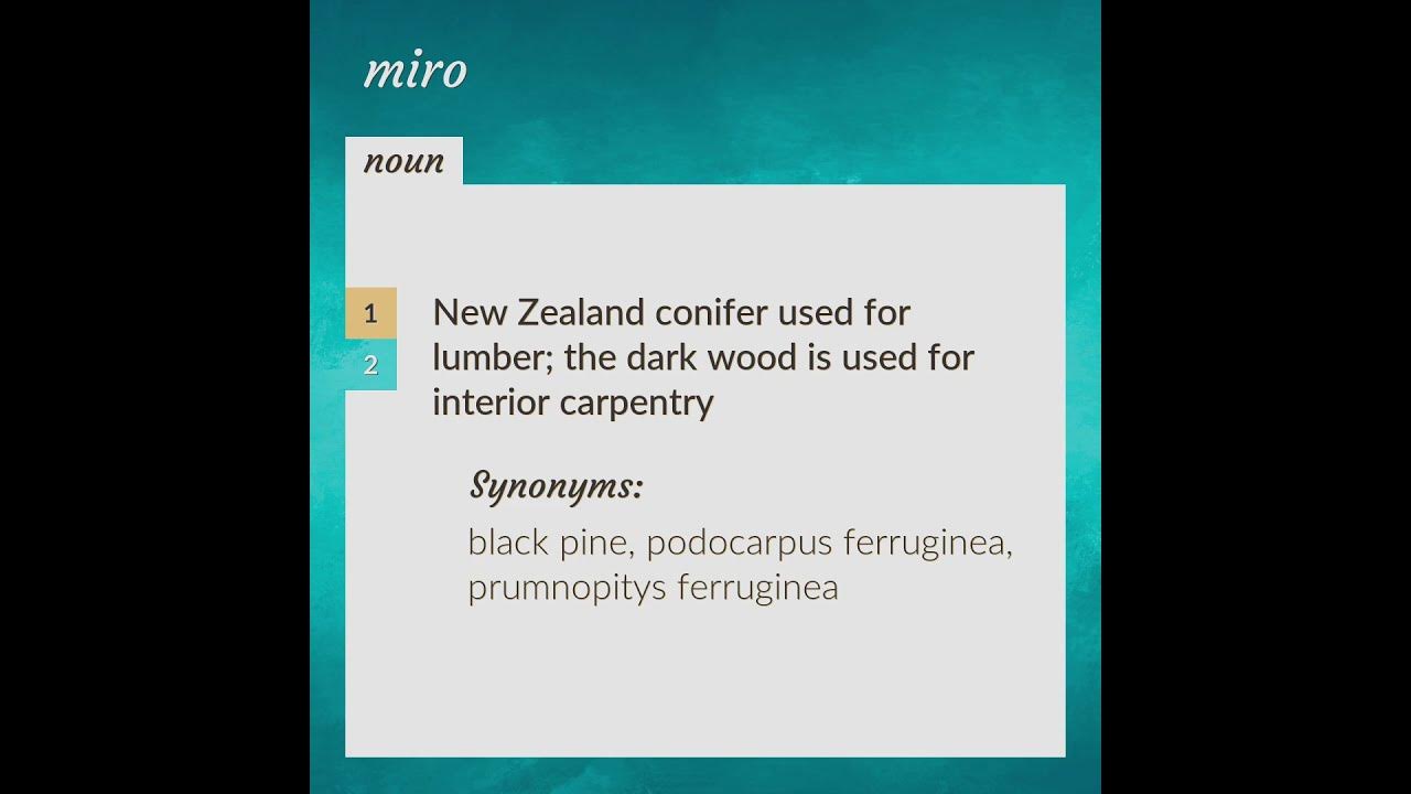 Miro meaning of Miro YouTube