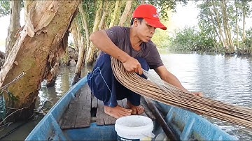 Tập7_săn bắt cắm câu ở kênh bờ tràm ll cá đồng nướng than hồng món ngon khó tả