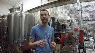 Knuth Brewing Company