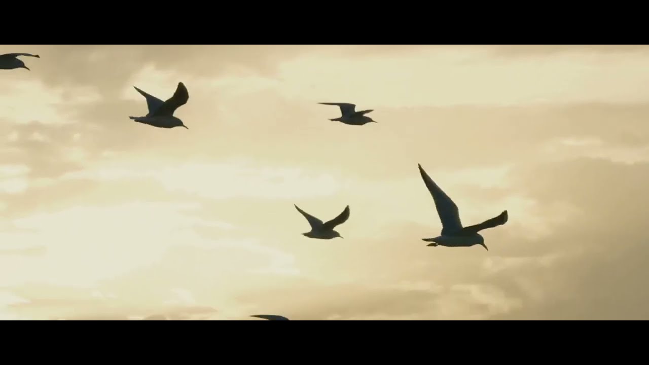 Кадры красоты на телефон