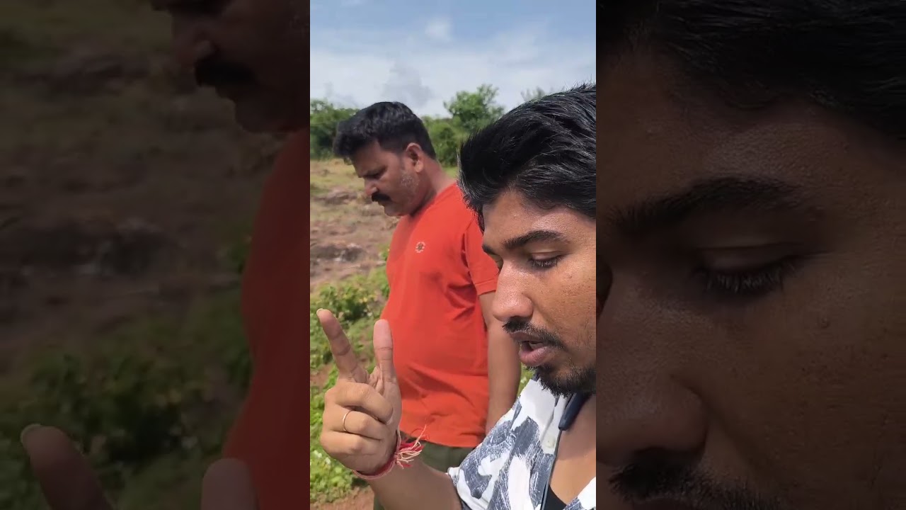 D-Yadavji sunday party plan with company collogues in Africa 