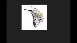 Max Cooper - Reflect
