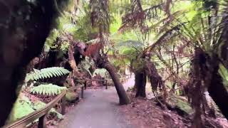 Russell Falls Mount Field National Park Tasmania Australia